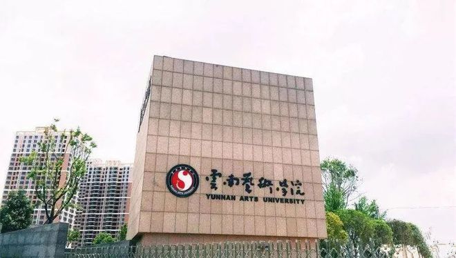 各省市半岛官方体育美术气力排名最强的高校名单出炉！附2021艺术类高校排名汇总(图51)